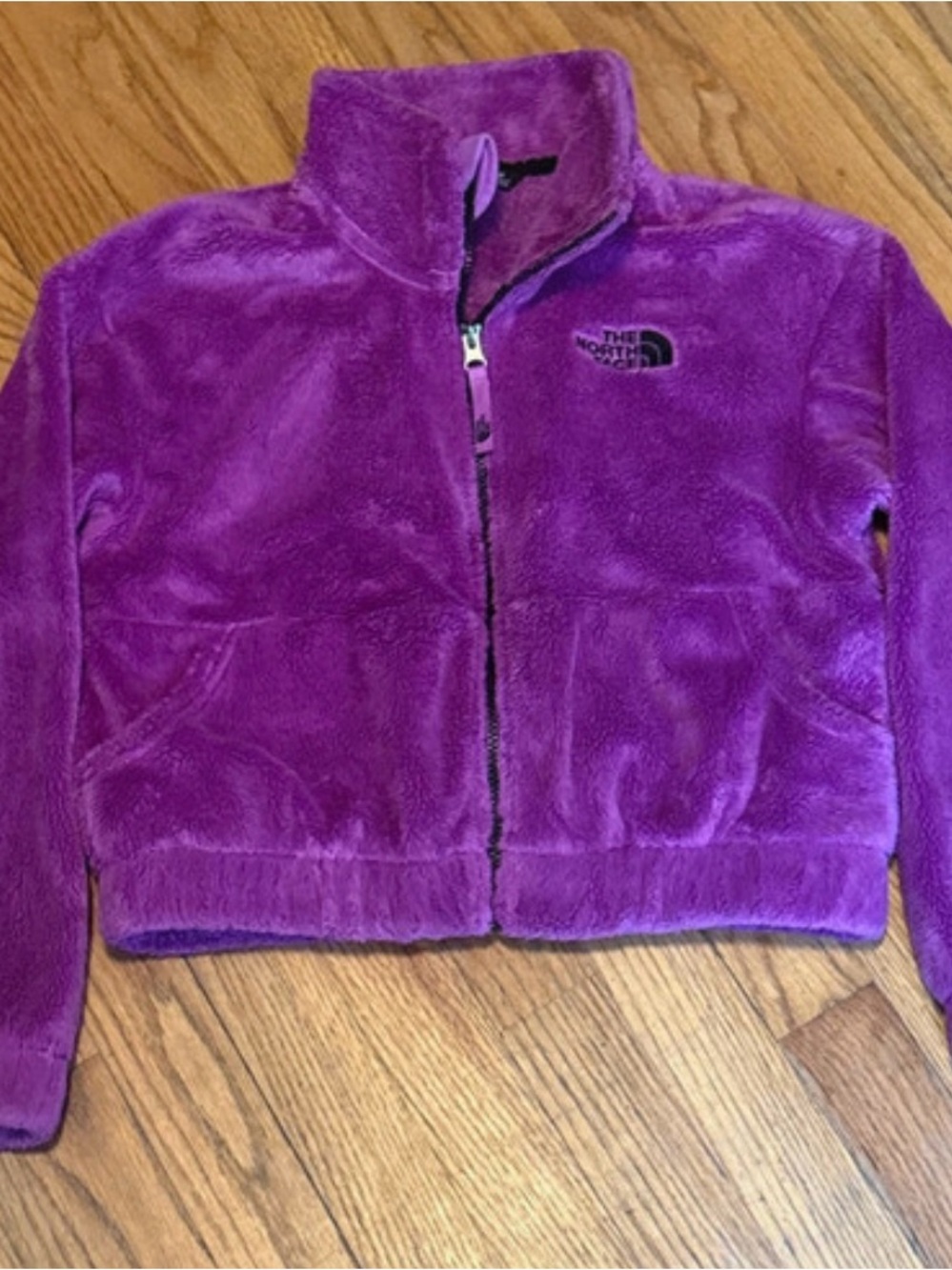 The North Face Kids Purple Plush Fleece Jacket